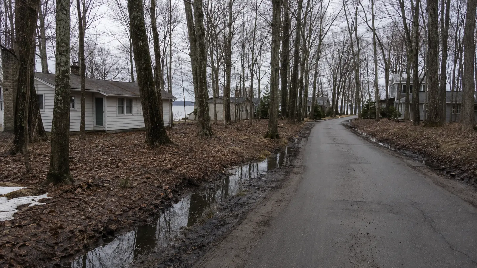 A lakeside lane in Richland with cottages among bare trees and water standing in the roadside ditch.