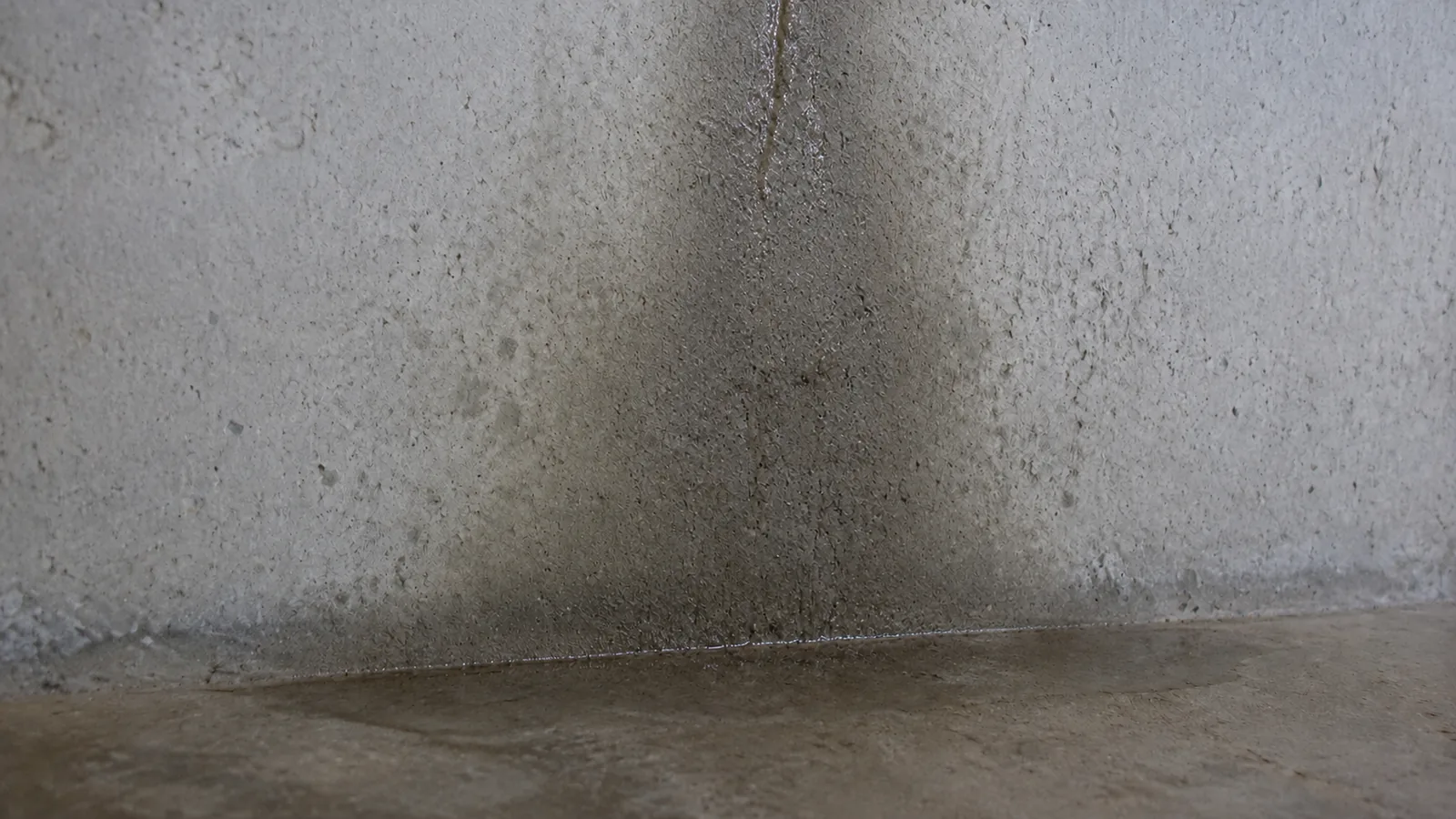 Water running down a damp basement wall corner and pooling where the wall meets the floor.